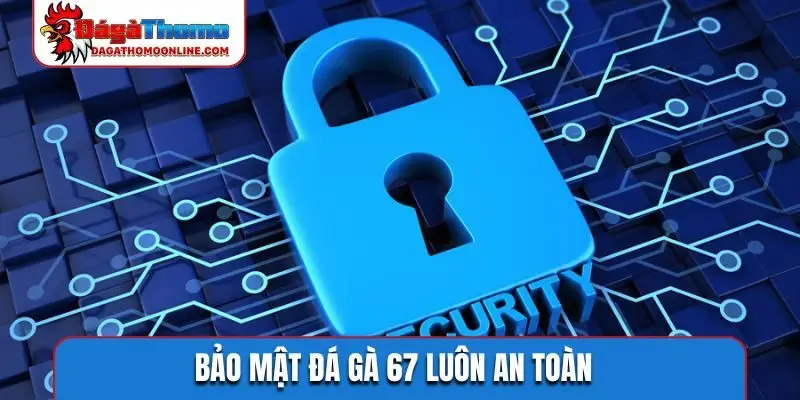 bao mat da ga 67 luon an toan Bảo mật đá gà 67 luôn an toàn