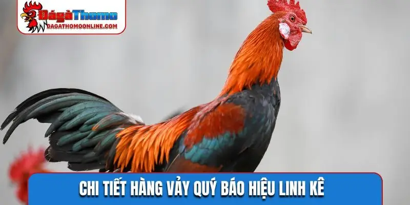 Chi tiết hàng vảy quý báo hiệu linh kê