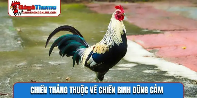 Chiến thắng thuộc về chiến binh dũng cảm