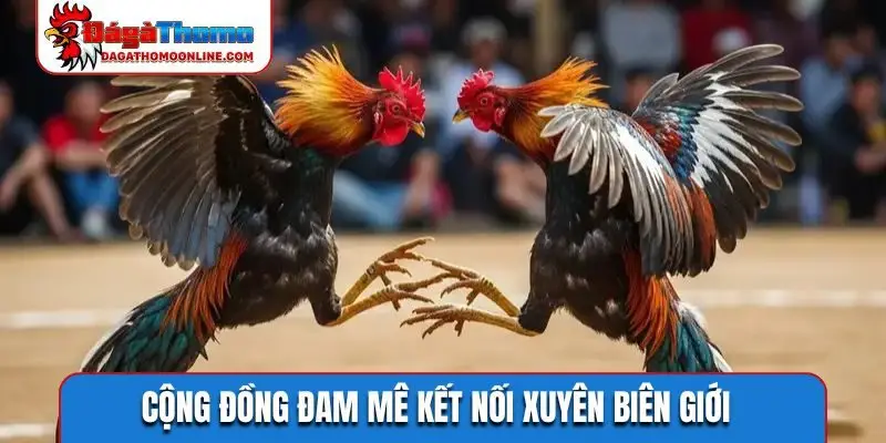 Cộng đồng đam mê kết nối xuyên biên giới