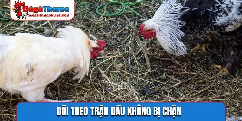 doi theo tran dau khong bi chan Dõi theo trận đấu không bị chặn