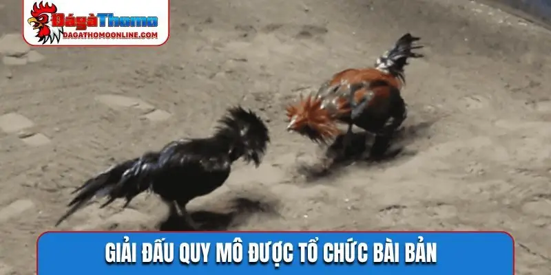 giai dau quy mo duoc to chuc bai ban Giải đấu quy mô được tổ chức bài bản