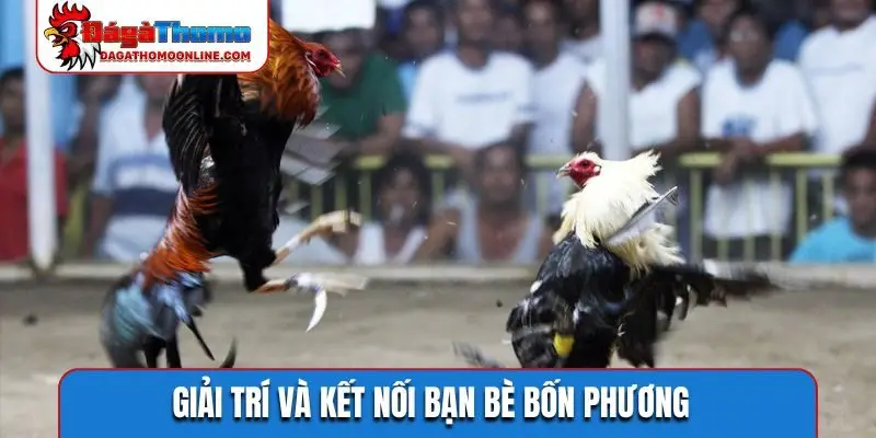 giai tri va ket noi ban be bon phuong Giải trí và kết nối bạn bè bốn phương