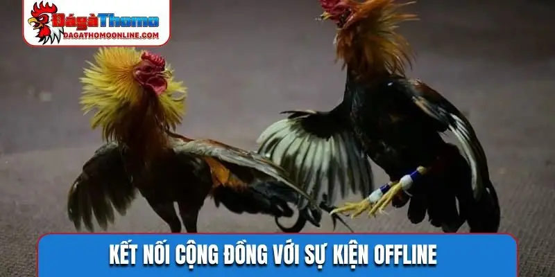 ket noi cong dong voi su kien offline Kết nối cộng đồng với sự kiện offline