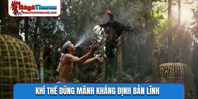 Khí thế dũng mãnh khẳng định bản lĩnh