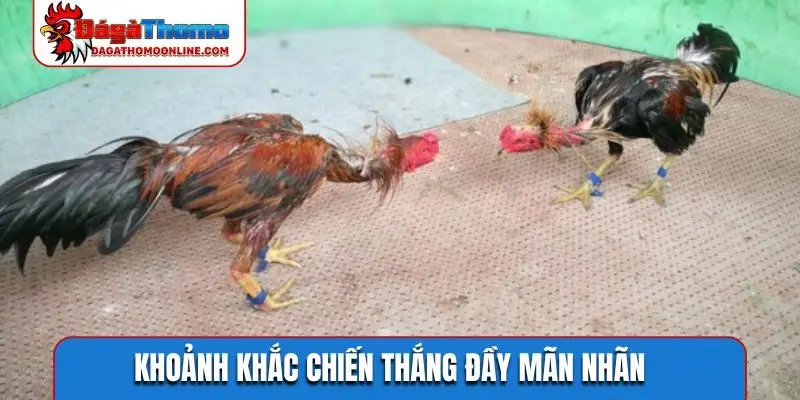 Khoảnh khắc chiến thắng đầy mãn nhãn
