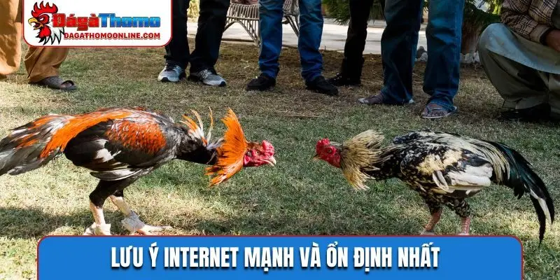 luu y internet manh va on dinh nhat Lưu ý internet mạnh và ổn định nhất
