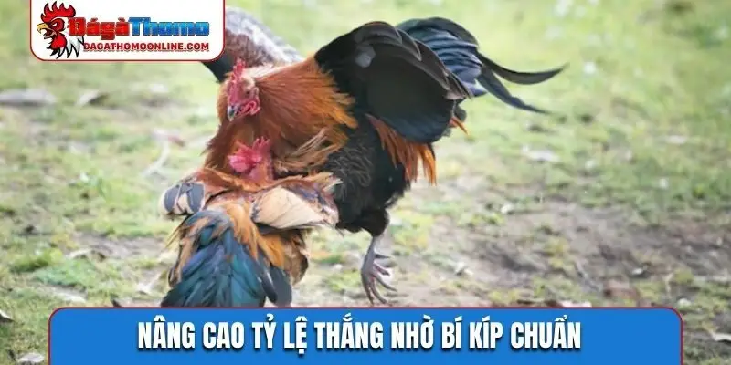 Nâng cao tỷ lệ thắng nhờ bí kíp chuẩn