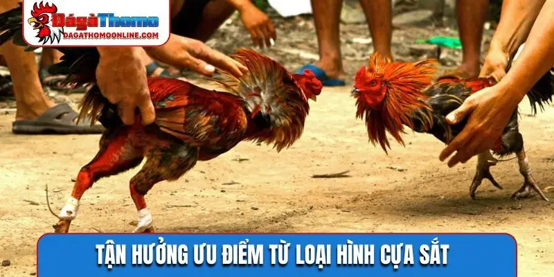 Tận hưởng ưu điểm từ loại hình cựa sắt