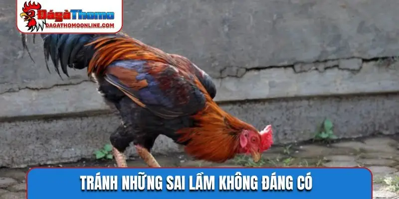 Tránh những sai lầm không đáng có