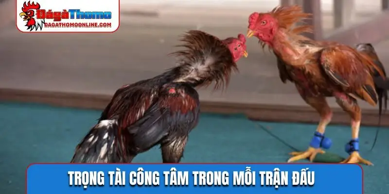 Trọng tài công tâm trong mỗi trận đấu