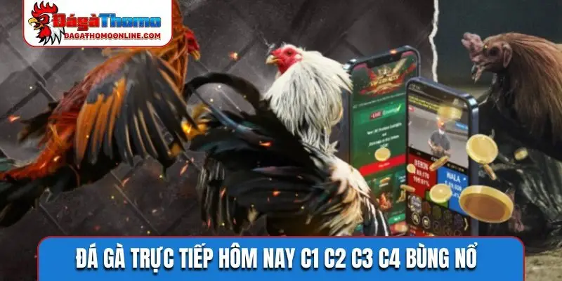 đá gà trực tiếp hôm nay c1 c2 c3 c4
