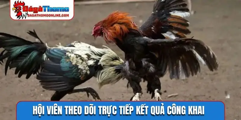 Hội viên theo dõi trực tiếp kết quả công khai