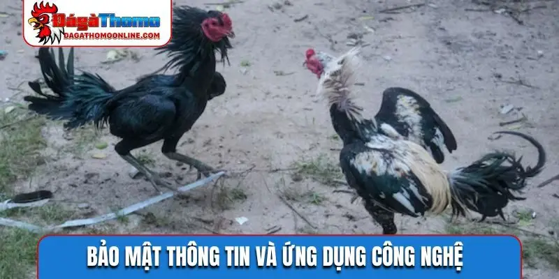 Bảo mật thông tin và ứng dụng công nghệ