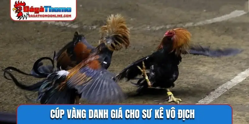 Cúp vàng danh giá cho sư kê vô địch