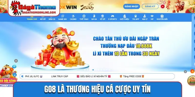 GO8 là thương hiệu cá cược uy tín